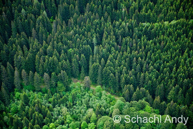 Rundflug 2011 0108