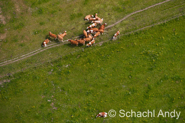 Rundflug 2011 0152