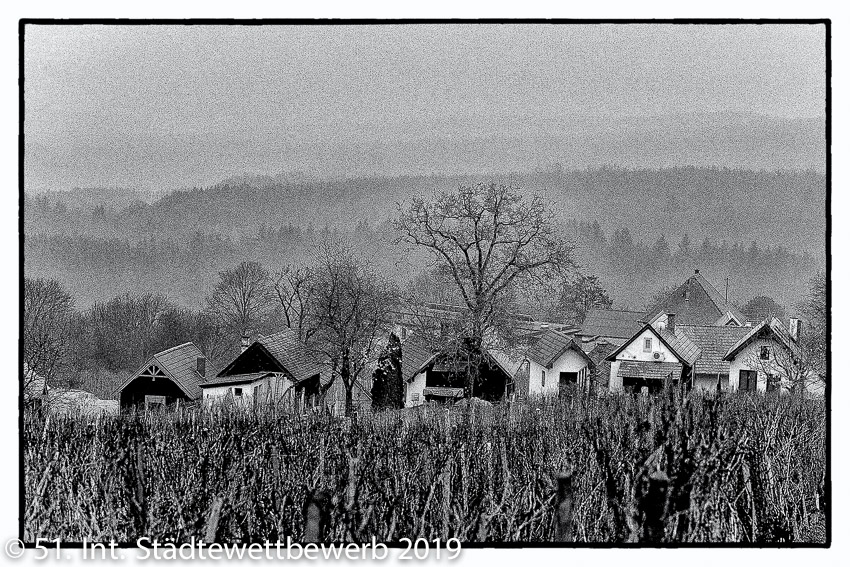 091 Platz-108-Gerhard Kuppelwieser 8104_Nebel im Herbst am Csaterberg