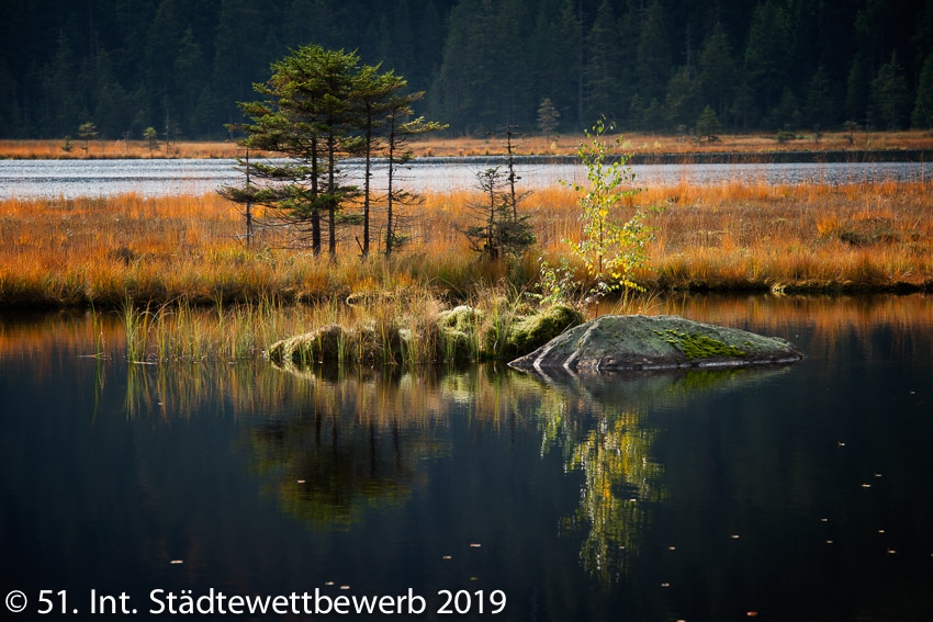 006 Platz-082-Andreas Riepl 0206_Herbst am See