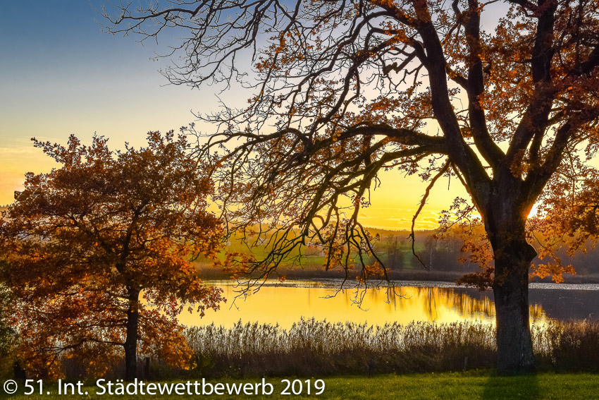 022 Platz-045-Martin Piller 6217_Lichtzauber am See