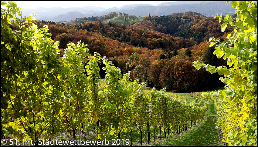 031 Platz-123-Martin Blum 1206_Weingarten