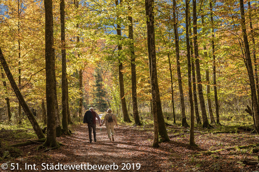 045 Platz-001-Erika Roitner 2205_Herbst Spaziergang