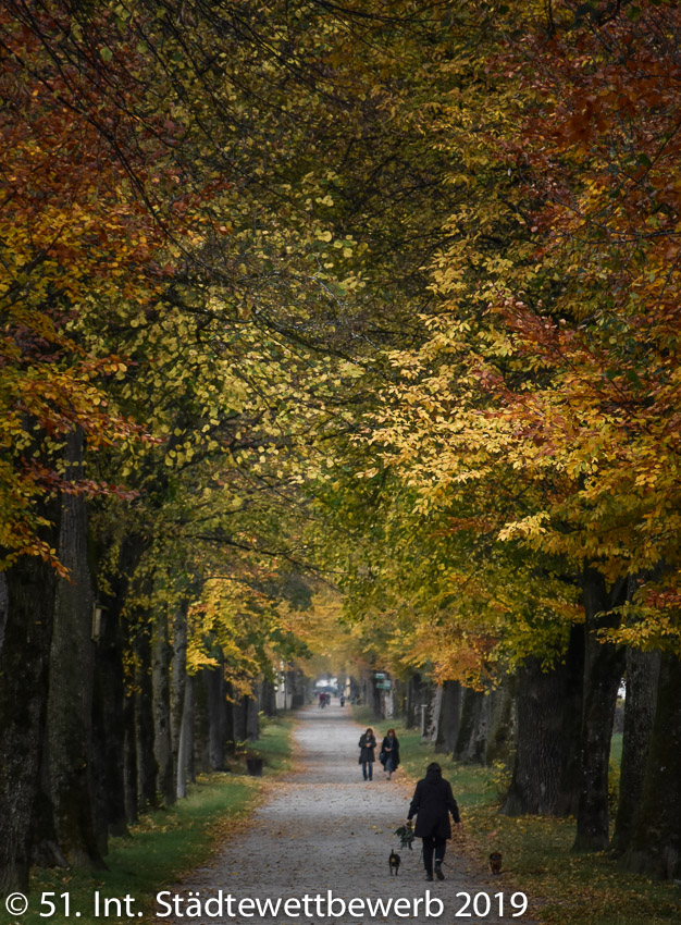 052 Platz-007-Gernot Weber 4208_Allee