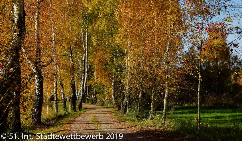 068 Platz-059-Karin Strauss 4206_ in herbstlichen Farben