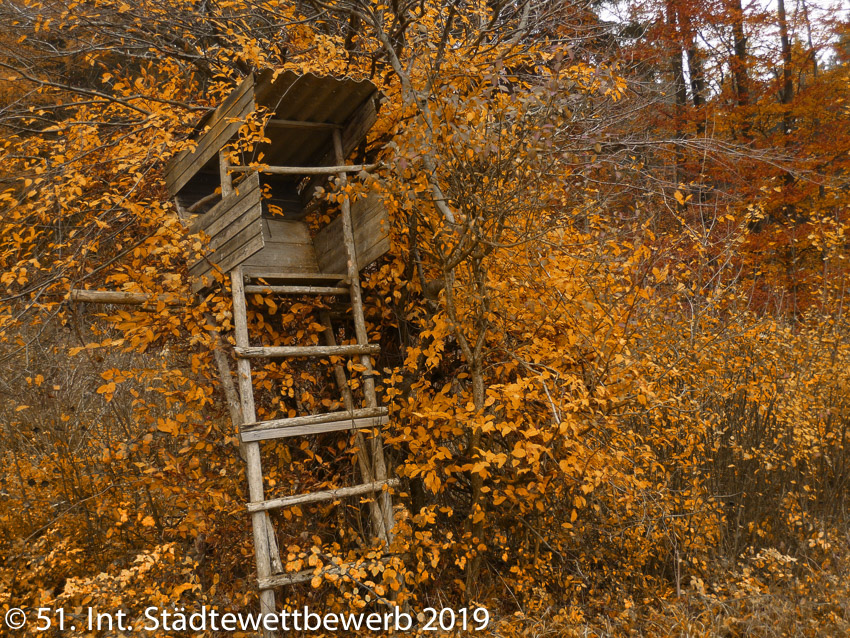 087 Platz-118-Bob Coulin 3206_Jagd Herbst