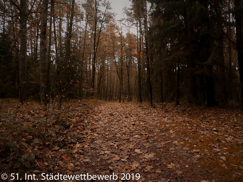 108 Platz-088-Janosch Schierlinger 0212_Blätterweg