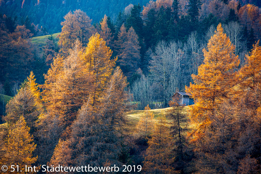 017 Platz-026-Margareta Dachs 2313_Goldener Herbst