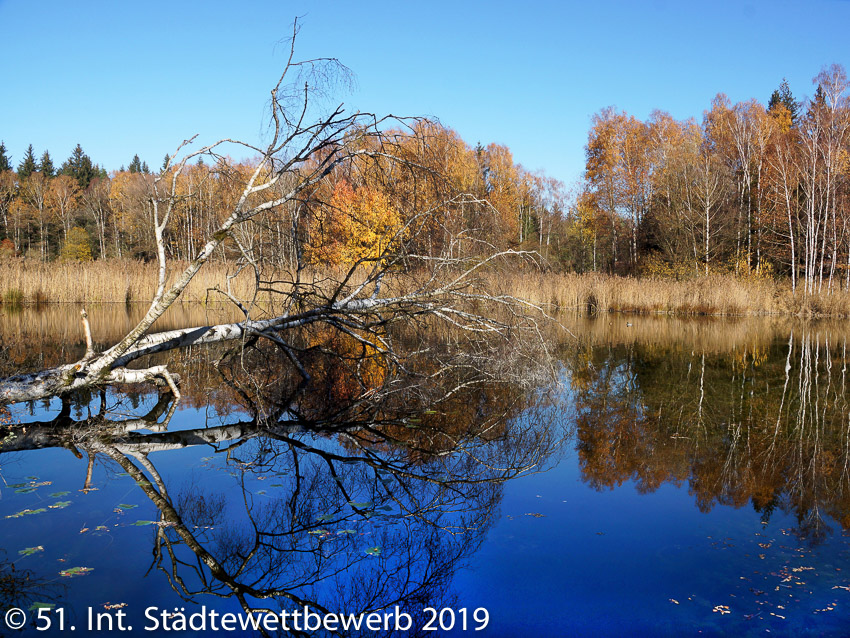 043 Platz-043-Ernest Fuchs 1303  Herbst am See