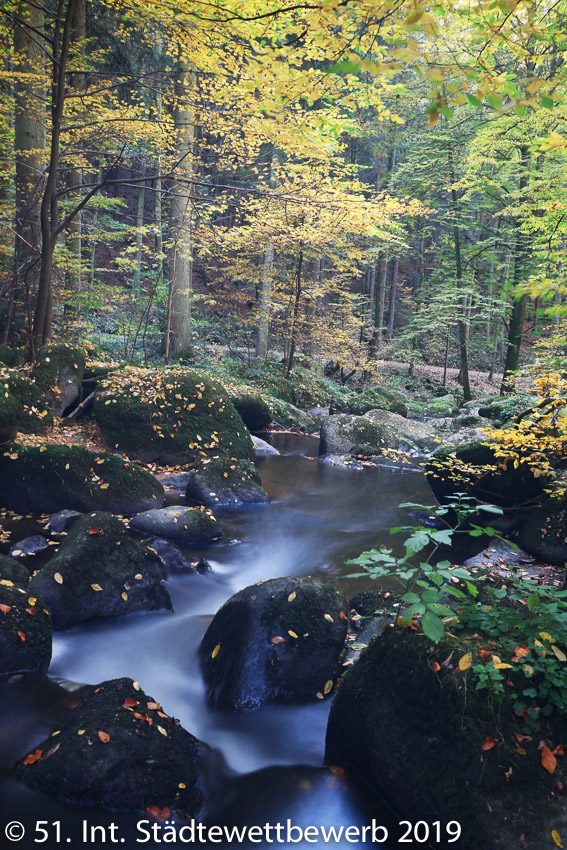 043 Platz-109-Jonas Handschuh 0315_Fluss in den Herbst