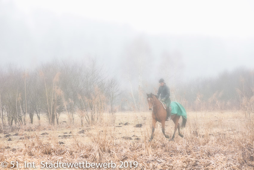 043 Platz-115-Dagmar Kunz 6315 Reiter im Herbstnebel