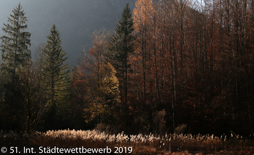 062 Platz-040-Sebastian Lahr 9313_Taubensee