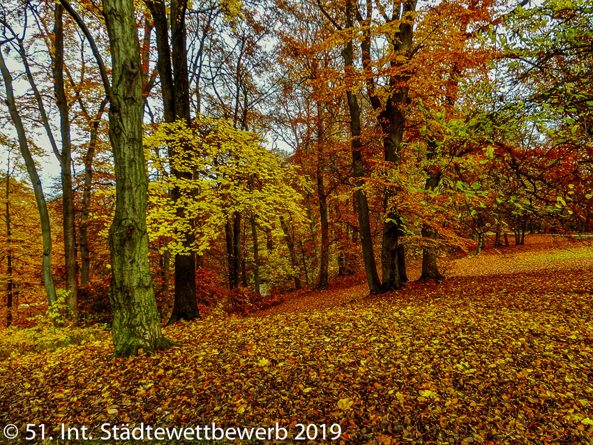 062 Platz-095-Gottfried Reif 6312_Park