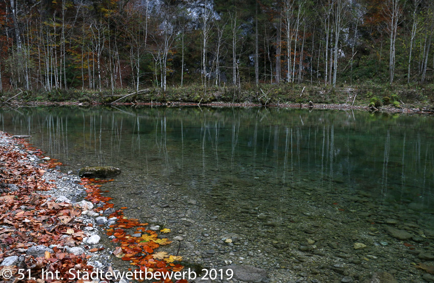 098 Platz-072-Claudia Lahr 9309_Föhrensee