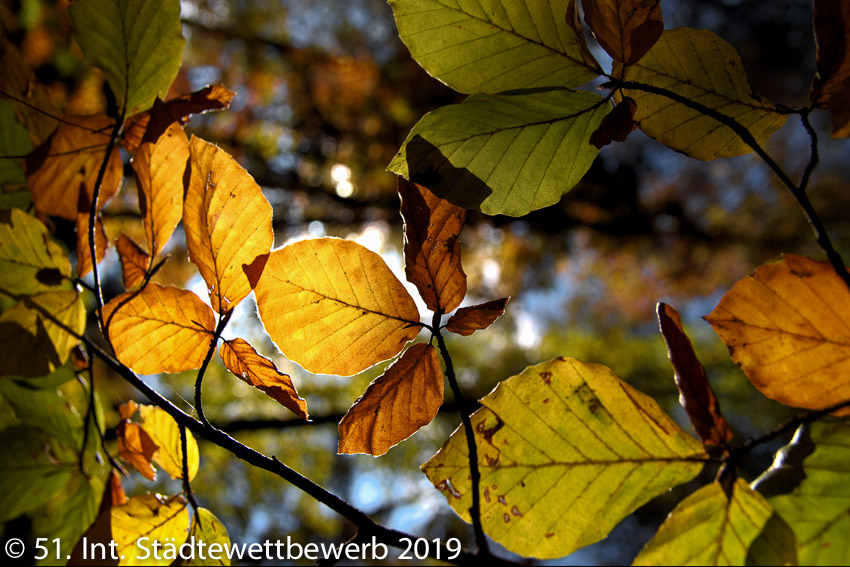 111 Platz-079-Michael Harries 7315_Herbstsonne