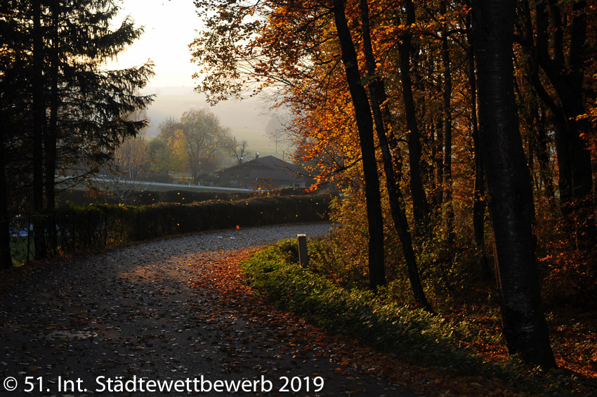 124 Platz-060-Günter Wiesinger 4309_Waldweg