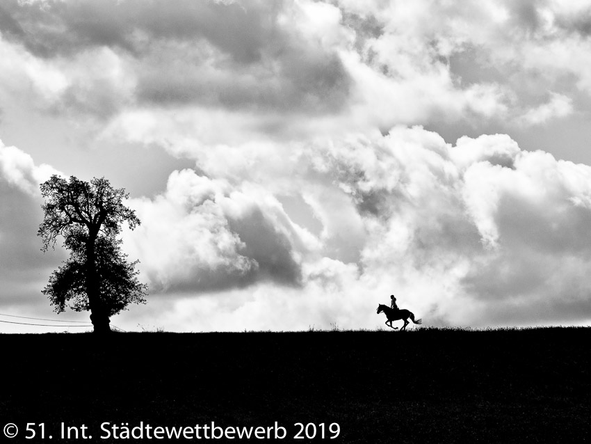 013 Platz-027-Ernst Hillisch 7403_Black Rider