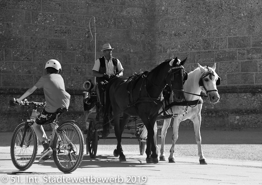 064 Platz-046-Karl Trainotti 3414_Droschke