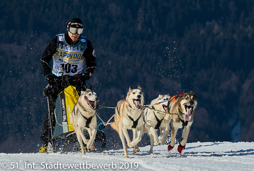 006 Platz-053-Josef Stadlthanner 2615_Schlittenhunderennen