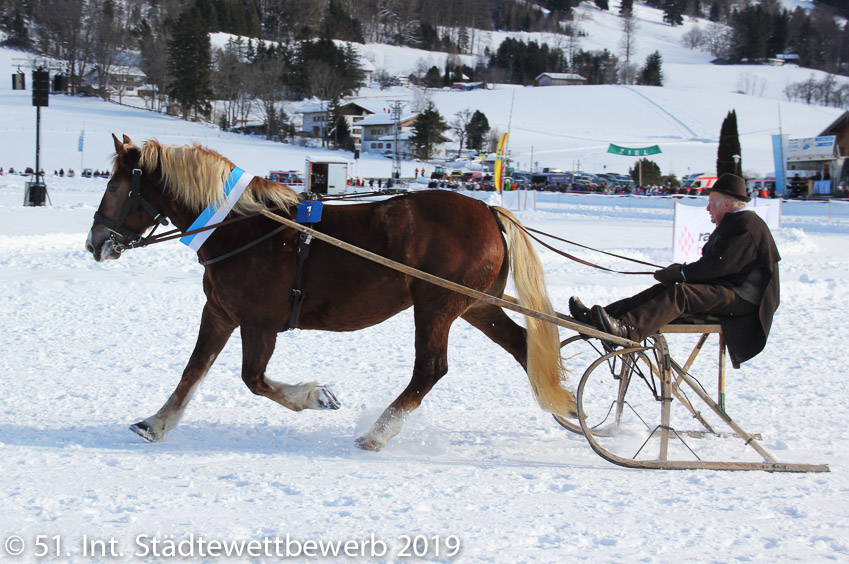 092 Platz-009-Günter Witting 6618_Pferdeschlittenrennen